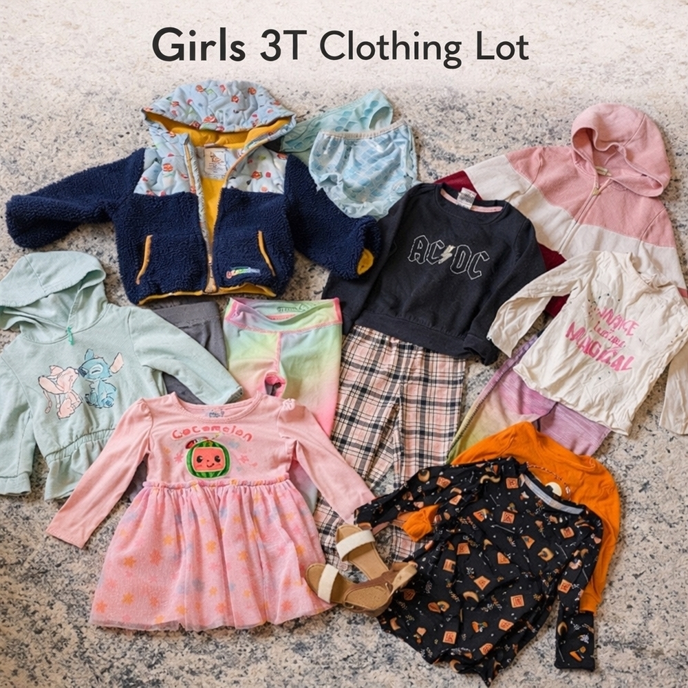 Toddler Girls 3T 4T Clothing Bundle Lot Dresses Jacket Sweater Pants And More